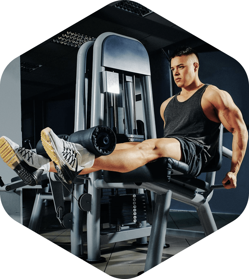 Профессиональные силовые тренажеры