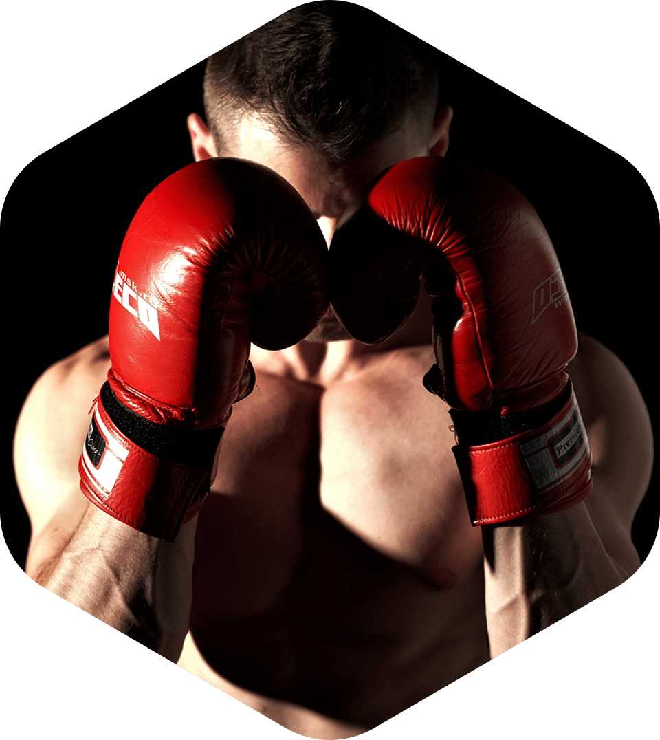 Экипировка для бокса и единоборств