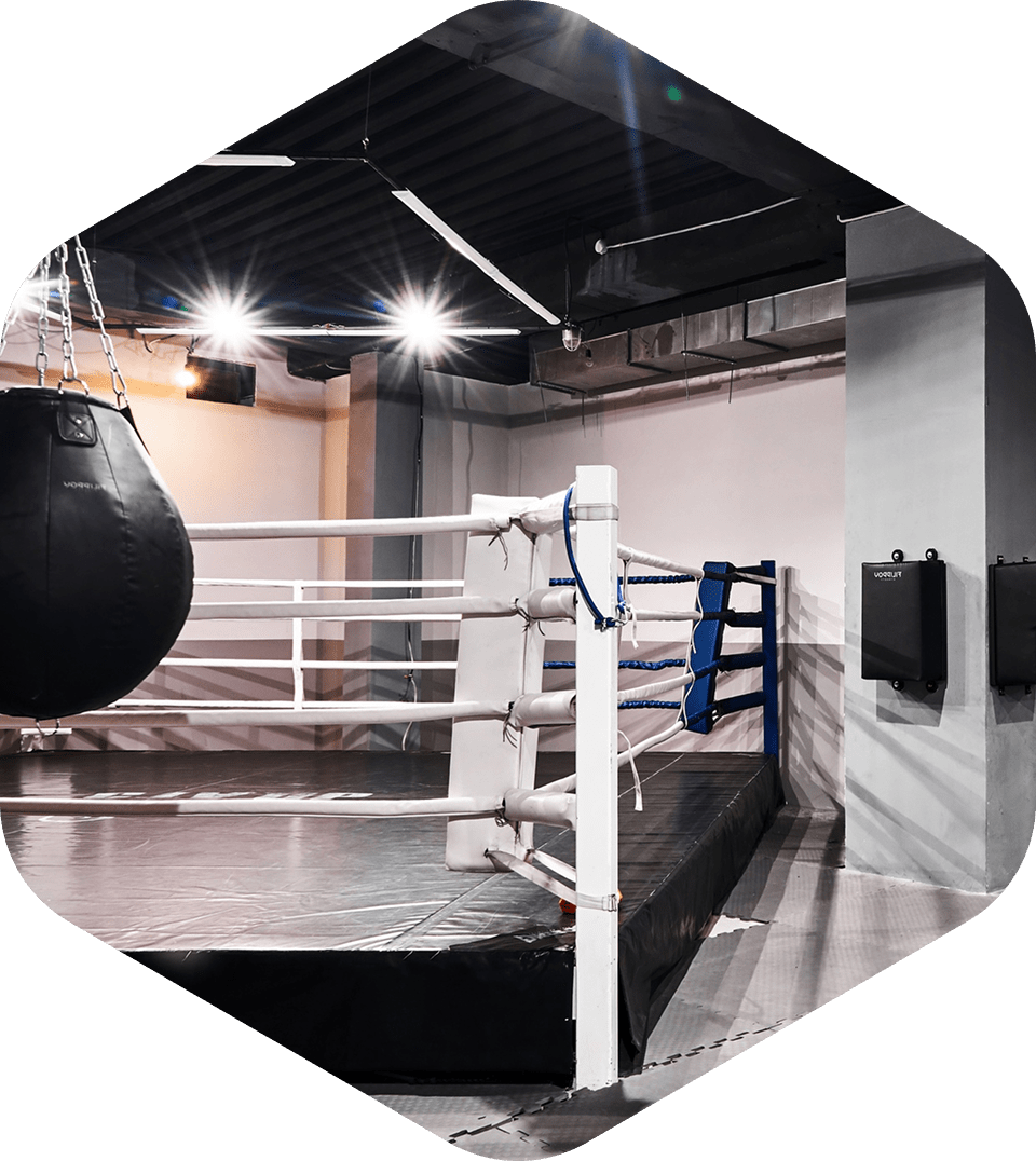 Боксерские ринги и октагоны