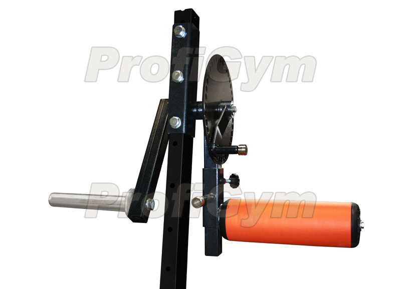Рычаг для пресса и спины ProfiGym
