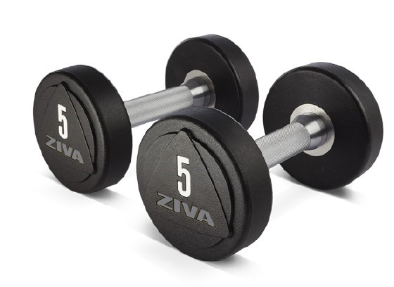 ZVO Solid Steel Urethane Dumbbell 58 kg Ziva ZVO-DBPU-1665